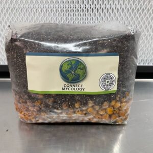 All-In-One Mushroom Grow Bag