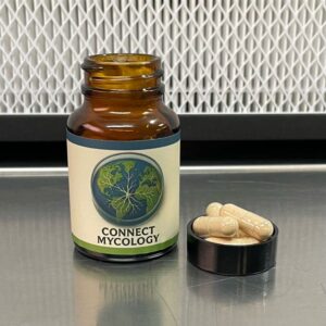 Lions Mane Mushroom Capsules