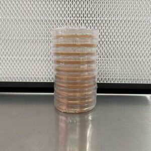 Sterile Agar Petri Dishes (Sorghum Syrup, Peptone, Yeast Extract)