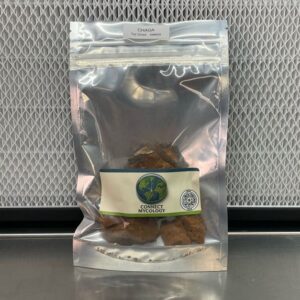 Dried Chaga Mushrooms