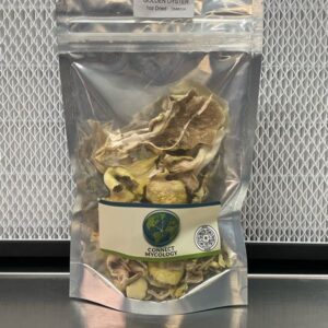 Dried Golden Oyster Mushrooms