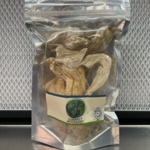 Dried King Trumpet Mushroom