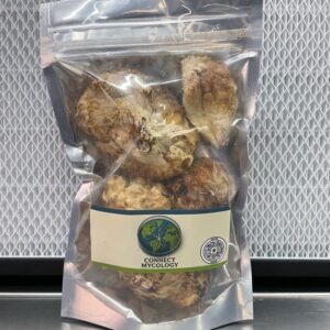 Dried Lion’s Mane Mushrooms