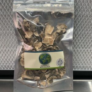 Dried Turkey Tail Mushrooms