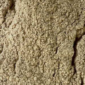 Cordyceps Mushroom Powder (Cordyceps militaris)