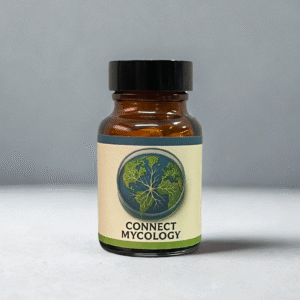 Chaga Mushroom Capsules